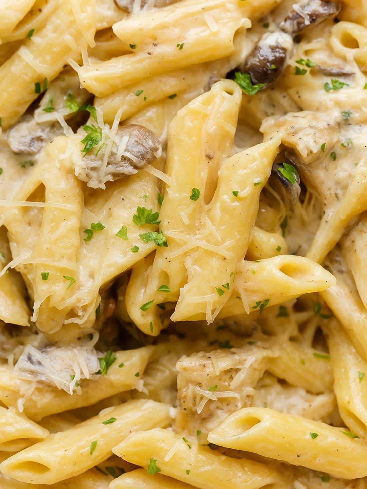 Super close up of creamy mushroom chicken pasta